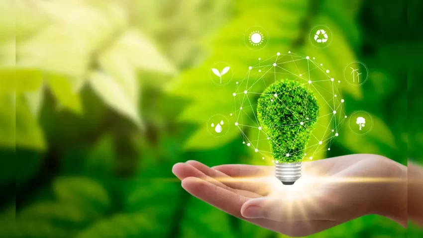 Innovative Environmental Solutions: Creating a Greener and More Sustainable Future