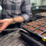 Choosing seeds that match climate routines and daily garden habits
