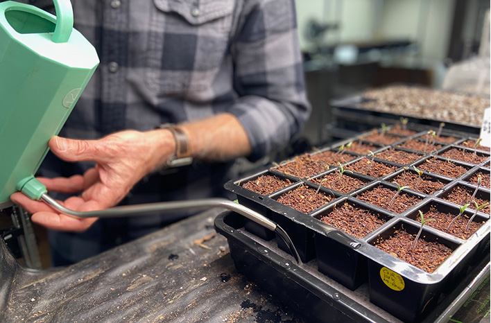 Choosing seeds that match climate routines and daily garden habits