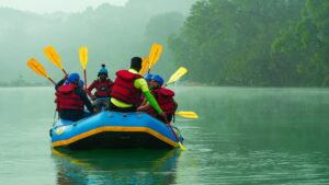 Forest Activities Nearby